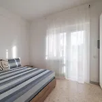 Urban Panoramic View